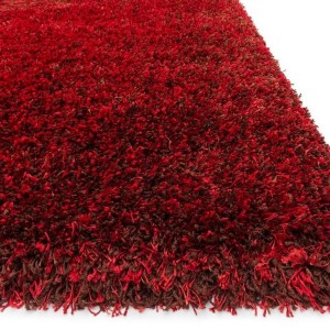 Bright Area Rugs Cheap