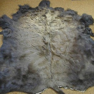 Buffalo Hide Rug