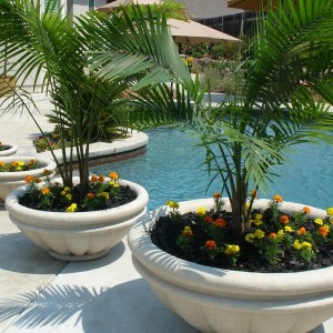 Concrete Planter Boxes Adelaide