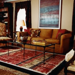 Cute Area Rugs For Living Room