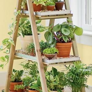 Decorative Plant Stands