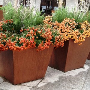 Extra Large Planters For Trees