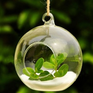 Hanging Glass Bubble Planters