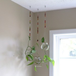 Hanging Glass Planters Indoor