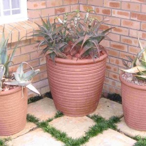 House Plant Pots Containers