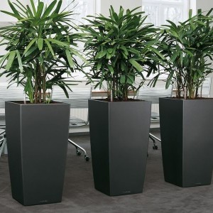 Large House Plant Pots