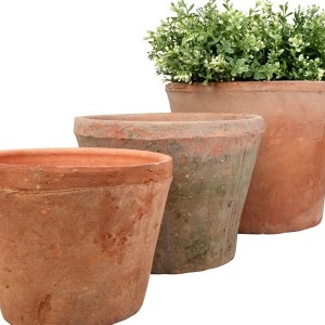 Large Terracotta Planters Uk