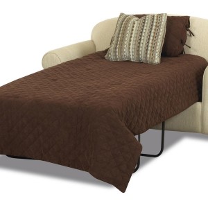 Loveseat Sleeper Sofa