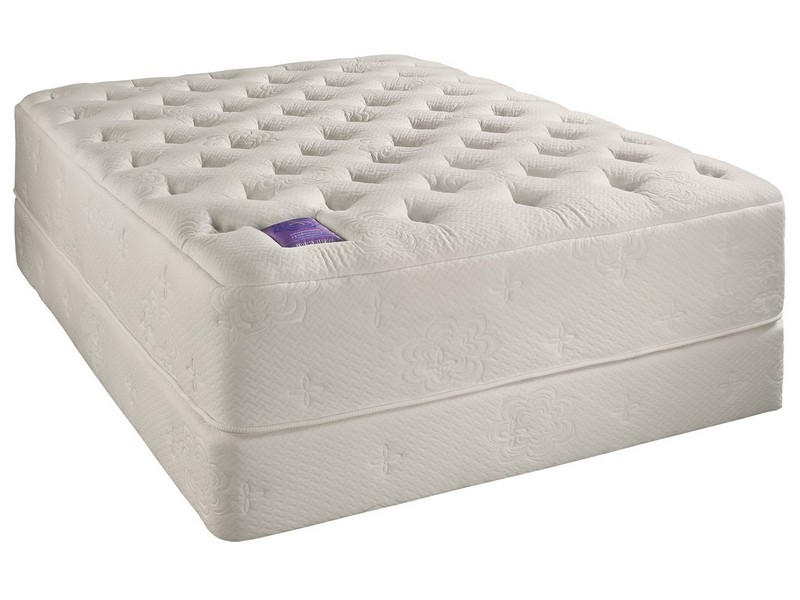 safaree twin xl mattress in a box