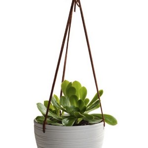 Modern Hanging Planters Australia