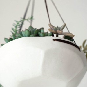 Modern Indoor Hanging Planters