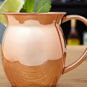 Moscow Mule Mugs Set Of 2