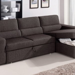 Sectional Sleeper Couch