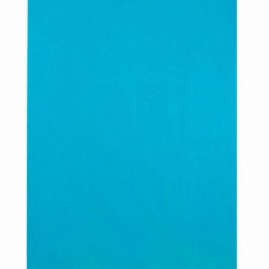 Solid Color Beach Towels 12 Towels