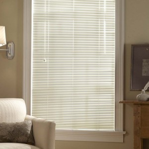 Vinyl Mini Blinds