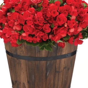 Wooden Barrel Planters Homebase